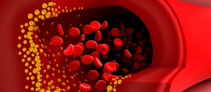 Биохимический анализ крови | норма и расшифровка основных показателей, как подготовиться к сдаче